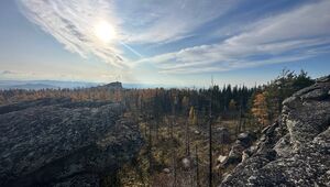 Закрытие квадросезона 2025 пакет «Сосновый» Стандарт Сингл